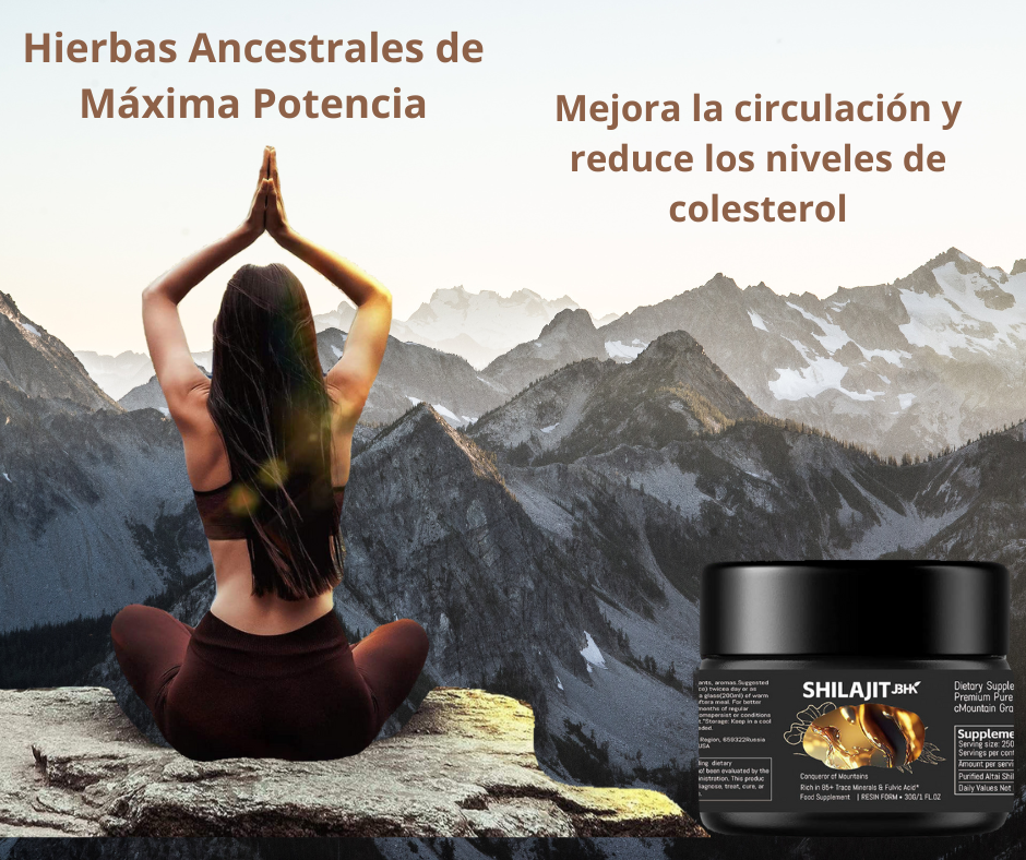 Shilajit premium en resina – GoldFuel™